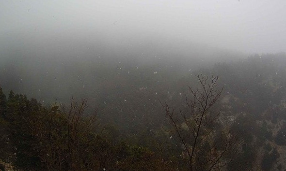 Πάσχα σε… χριστουγεννιάτικο τοπίο – Χιόνισε στην Πάρνηθα [Εικόνες]