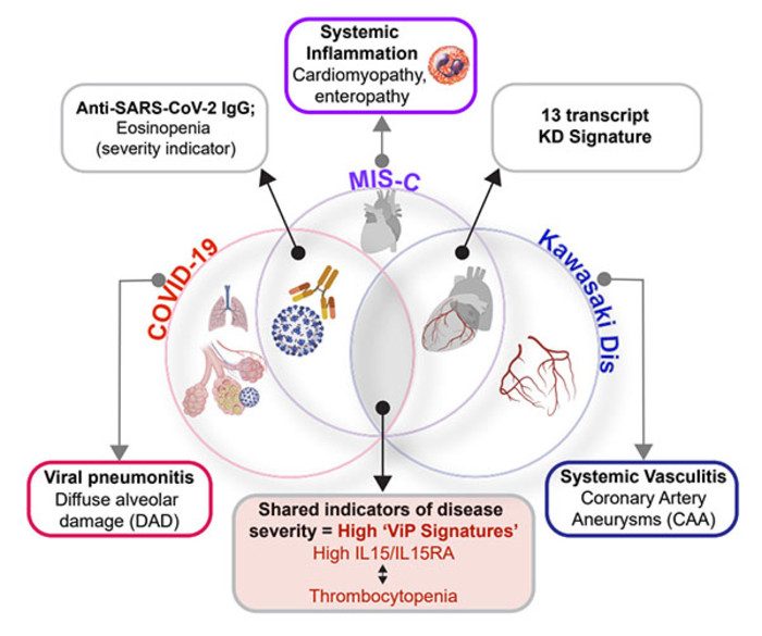   SARS-COV-2 Συναγερμός από μελέτη για παιδιά: Τι συνδέει την COVID-19, το σύνδρομο MIS-C και τη νόσο Kawasaki