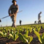 ΚΕΟΣΟΕ: Εκτός ευνοϊκών ρυθμίσεων μένουν οι αγρότες των Μικρών Νησιών του Αιγαίου