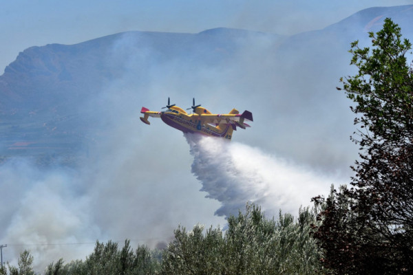 Σαλαμίνα: Φωτιά σε δασική έκταση στην περιοχή Αιάντειο