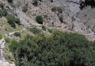 Σπάνιο φυσικό βοτανικό μονοπάτι στην Κρήτη