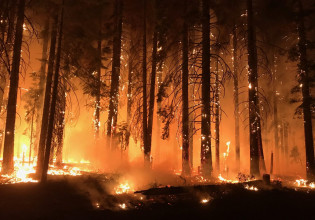 Πυρκαγιά: Οι δασοφύλακες προκάλεσαν την καταστροφή που σαρώνει το Νιου Μέξικο