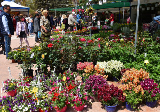 Νέα Σμύρνη: Πρώτη ανθοκομική έκθεση