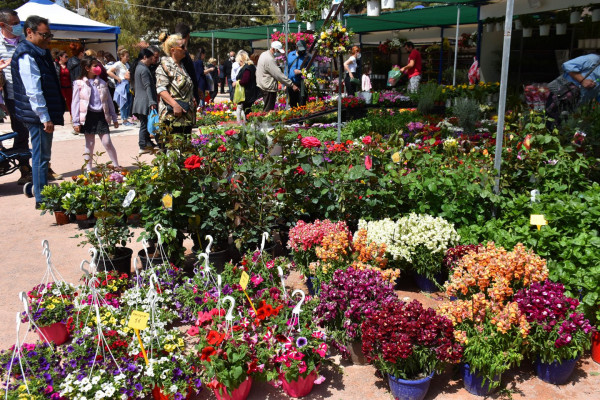 Νέα Σμύρνη: Πρώτη ανθοκομική έκθεση