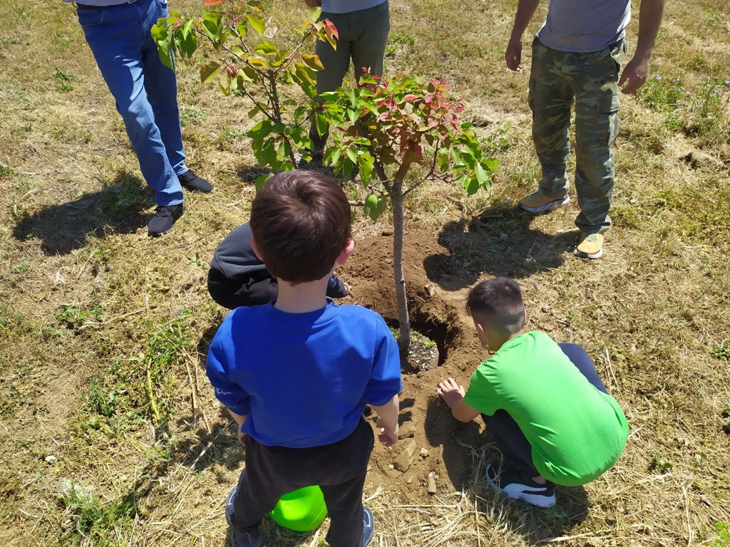 Το 2030 η Ευρώπη πρέπει να έχει 3 δισεκατομμύρια νέα δέντρα