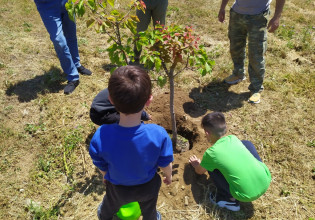 Το 2030 η Ευρώπη πρέπει να έχει 3 δισεκατομμύρια νέα δέντρα