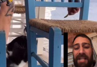 Αιδηψός: Αυτός είναι ο άντρας που κλώτσησε την γάτα στη ταβέρνα – Απαντά με ύβρεις και χυδαίες εκφράσεις στο Instagram