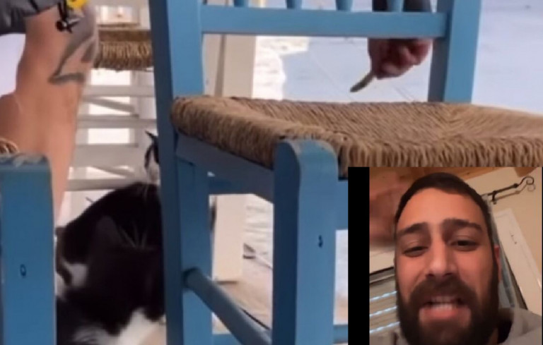 Αιδηψός: Αυτός είναι ο άντρας που κλώτσησε την γάτα στη ταβέρνα – Απαντά με ύβρεις και χυδαίες εκφράσεις στο Instagram