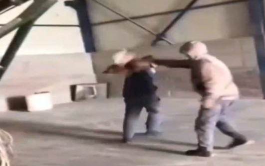 Εύβοια: Νέα υπόθεση κακοποίησης ζώου – «Έσπαγαν πλάκα» βασανίζοντας πτηνό – Δείτε το βίντεο