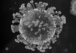 Κοροναϊός: Πώς προστατεύει από το κοινό κρυολόγημα