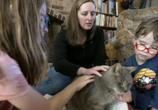 Γάτα χάθηκε πριν 16 χρόνια και την βρήκαν λίγο πριν την ευθανασία