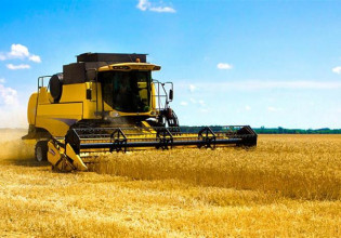 Επισιτιστική κρίση: Πεινούν 40 εκατ. επιπλέον άνθρωποι, σύμφωνα με έρευνα των Ηνωμένων Εθνών