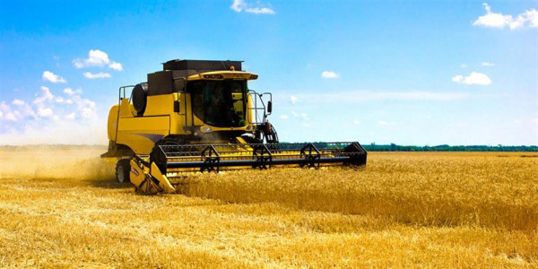 Επισιτιστική κρίση: Πεινούν 40 εκατ. επιπλέον άνθρωποι, σύμφωνα με έρευνα των Ηνωμένων Εθνών