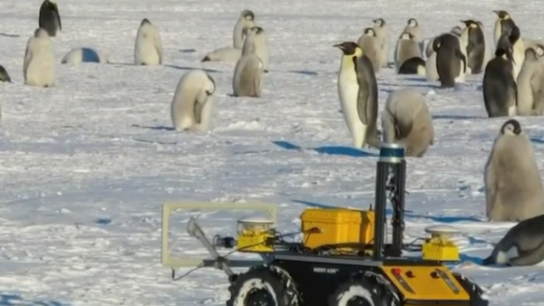 Γιατί ένα ρομπότ ζει με μία αποικία πιγκουίνων στην Ανταρκτική;