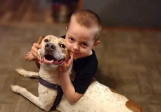 ΗΠΑ: Άγρια επίθεση σκύλου σε 5χρονο [Σκληρές εικόνες]