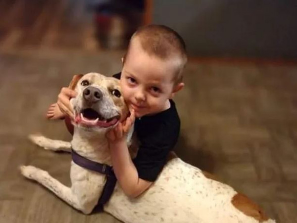 ΗΠΑ: Άγρια επίθεση σκύλου σε 5χρονο [Σκληρές εικόνες]