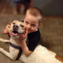 ΗΠΑ: Άγρια επίθεση σκύλου σε 5χρονο [Σκληρές εικόνες]