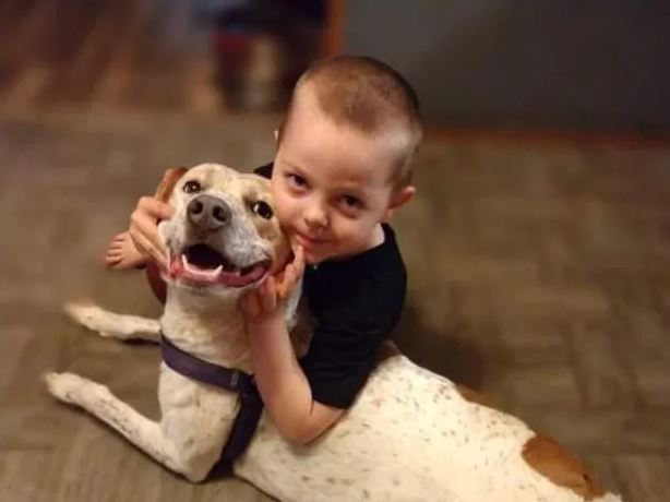 Άγρια επίθεση σκύλου σε 5χρονο - Κομμάτιασε το μάγουλό του [Σκληρές εικόνες]