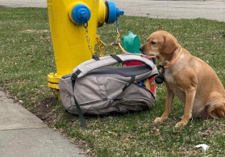 Παράτησε τον σκύλο του με μια τσάντα κι ένα σημείωμα με εξηγήσεις – Συγκινητική απάντηση της φιλοζωικής