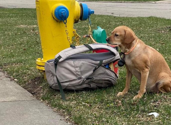 Παράτησε τον σκύλο του με μια τσάντα κι ένα σημείωμα με εξηγήσεις – Συγκινητική απάντηση της φιλοζωικής
