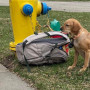 Παράτησε τον σκύλο του με μια τσάντα κι ένα σημείωμα με εξηγήσεις – Συγκινητική απάντηση της φιλοζωικής