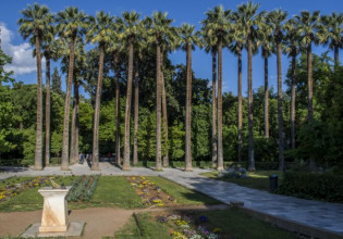 Ο Εθνικός Κήπος ανανεώνεται  – Θα γεμίσει με 11.155 νέα δέντρα και φυτά