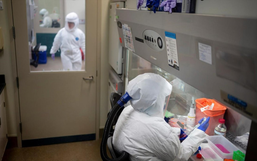 Ευλογιά των πιθήκων: Νέα κρούσματα σε 4 ευρωπαϊκές χώρες