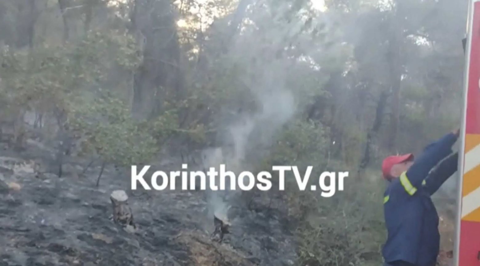 Συναγερμός στην πυροσβεστική: Μεγάλη φωτιά στις Κεχριές – Καίγεται δάσος κοντά σε στρατόπεδο
