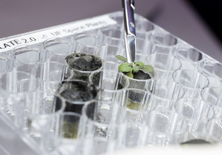 Αν θέλετε καλή σοδειά, μην χρησιμοποιήσετε χώμα από το φεγγάρι