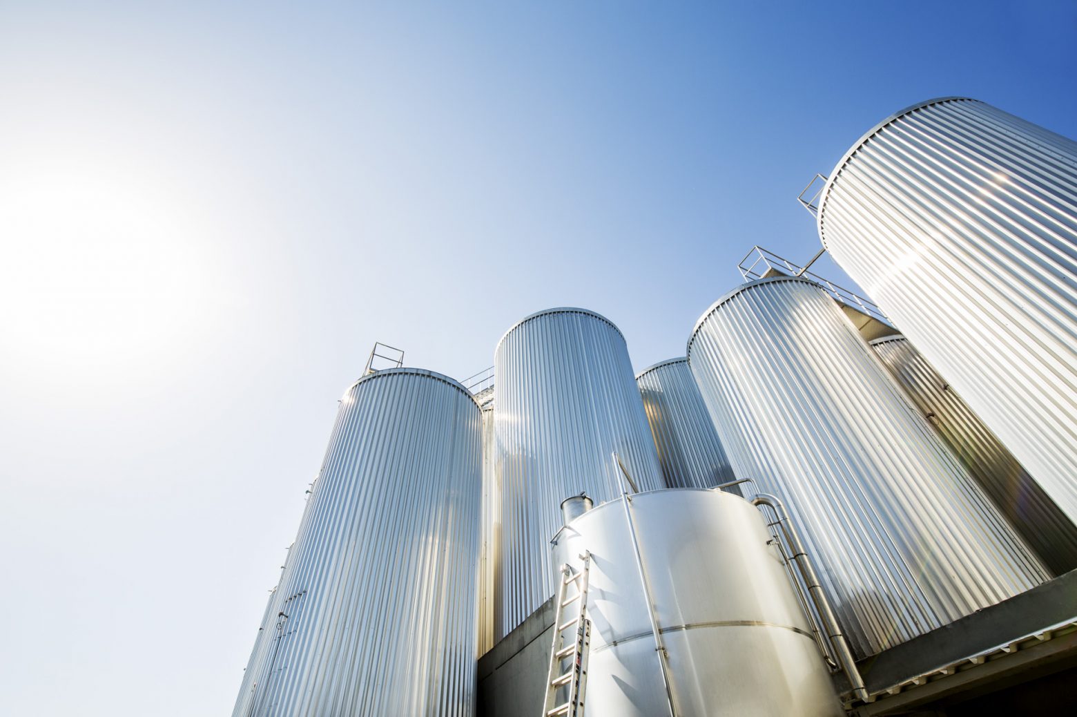 Η προστιθέμενη αξία των δραστηριοτήτων της Ολυμπιακής Ζυθοποιίας σε κοινωνία και περιβάλλον