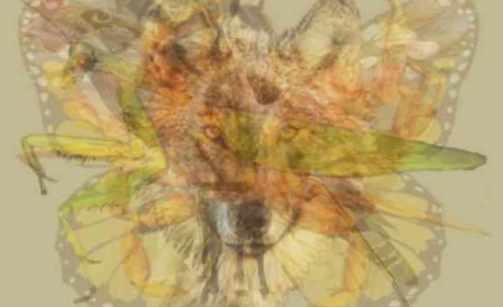 Εσείς τι βλέπετε στη φωτογραφία; – Εκπληκτικό τεστ ψυχολογίας