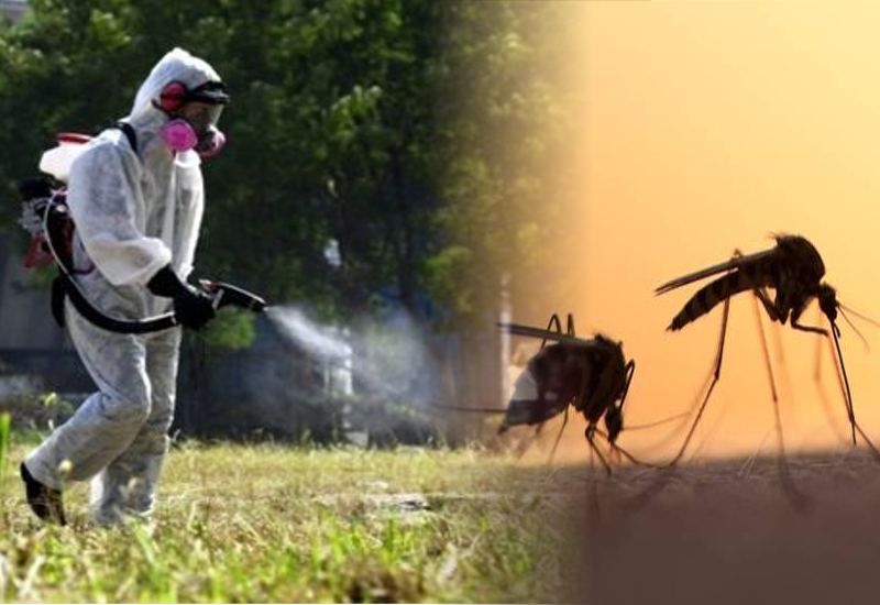 Κίνδυνος ελονοσίας στην Ελλάδα τις επόμενες δεκαετίες - Τι δείχνει έρευνα του ΑΠΘ | in.gr - in.gr