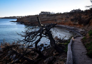 Φονική πυρκαγιά Μάτι: Έφεση κατά του βουλεύματος άσκησε ο εισαγγελέας – Νέα εμπλοκή στην υπόθεση