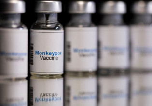 Ευλογιά των πιθήκων: Ο ΠΟΥ ζητεί εντατικοποίηση των ελέγχων