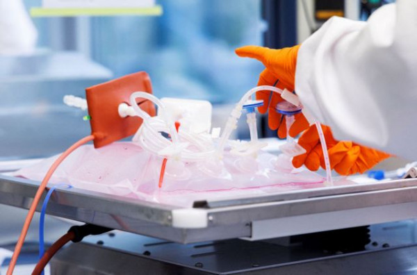 Ευλογιά των πιθήκων: Το πιο μακάβριο και αστείο σχόλιο