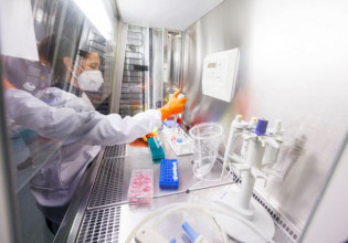 Ευλογιά των πιθήκων: Ποιος είναι ο κίνδυνος εξάπλωσης για τη δημόσια υγεία σε παγκόσμιο επίπεδο