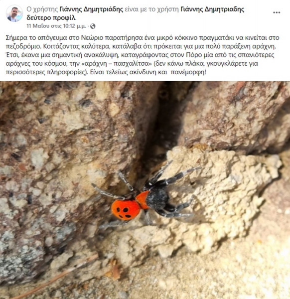 Η αράχνη Πασχαλίτσα ζει και στην Ελλάδα