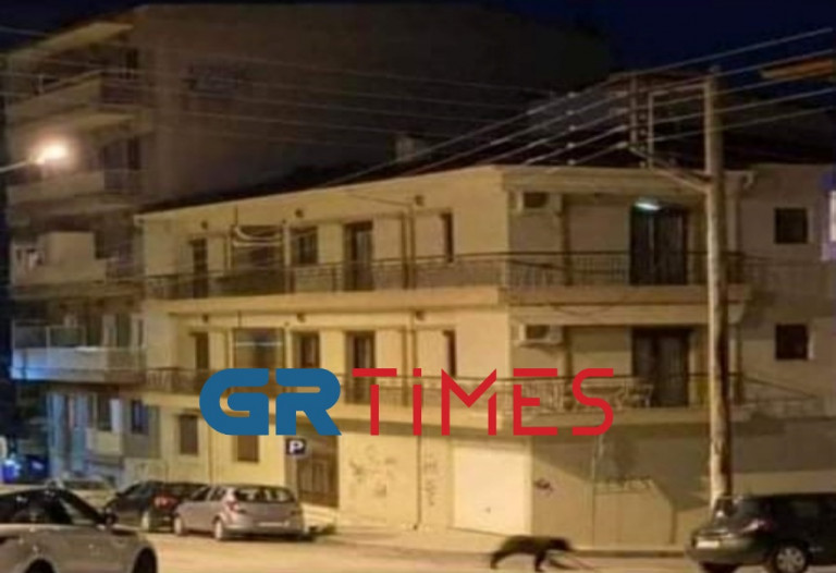 Αρκούδα βγήκε βόλτα στη Φλώρινα – Την «πήραν» στο κυνήγι αδέσποτα σκυλιά