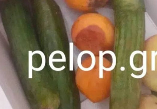 Πάτρα: Μοίρασαν σάπια φρούτα σε μαθητές δημοτικού – Τι καταγγέλλουν οι γονείς