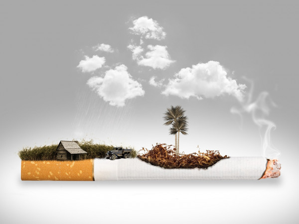 Σοβαρές επιπτώσεις στην κλιματική αλλαγή από την παραγωγή τσιγάρων