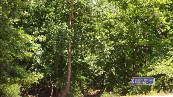 150 κιλά απορρίμματα σε φαράγγι της Κρήτης