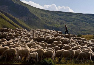 Εξισωτική αποζημίωση: Από 25 Ιουλίου οι αιτήσεις στήριξης – Το ύψος της ενίσχυσης