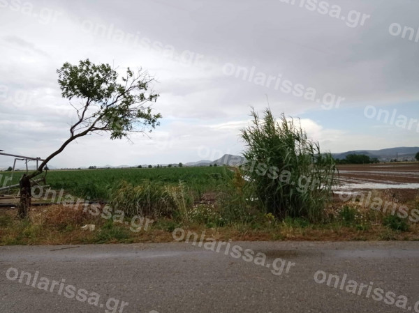 Φάρσαλα: Χαλαζόπτωση ισοπέδωσε χιλιάδες στρέμματα