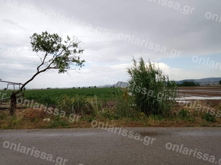 Φάρσαλα: Χαλαζόπτωση ισοπέδωσε χιλιάδες στρέμματα