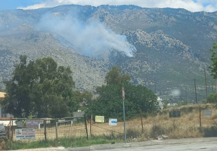 Λουτράκι: Ξέσπασε μεγάλη φωτιά – Ενισχύθηκαν οι δυνάμεις της Πυροσβεστικής