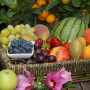 Εξαγωγές: Ρεκόρ καταγράφει η φράουλα – Μείωση για τα θερινά φρούτα