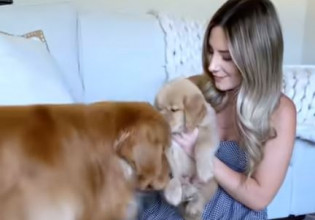 Όταν ένας σκύλος συναντά για πρώτη φορά το κουτάβι του – Η αντίδραση που «έλιωσε» τα social media