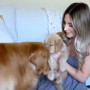 Όταν ένας σκύλος συναντά για πρώτη φορά το κουτάβι του – Η αντίδραση που «έλιωσε» τα social media