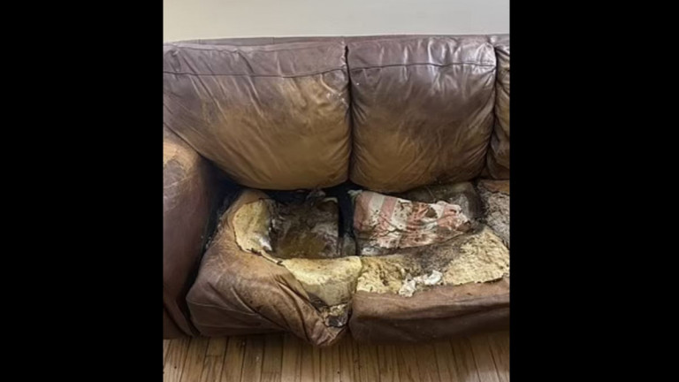 ΗΠΑ: Άφησαν την κόρη τους να πεθάνει «βυθισμένη» στον καναπέ -Έπασχε από σύνδρομο εγκλεισμού