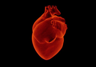 Νόσημα που χρειάζεται ολιστική αντιμετώπιση η καρδιακή ανεπάρκεια